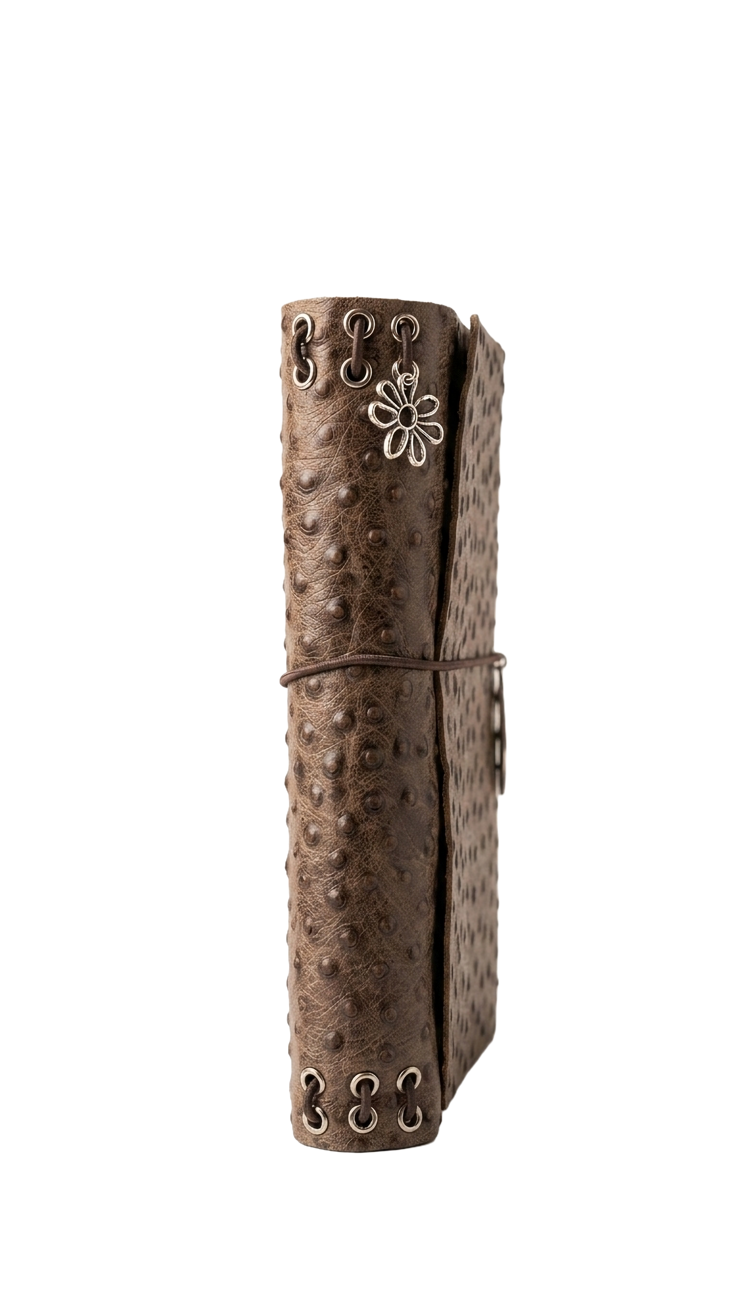 Walnut Ostrıch
